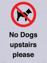 no-dogs-upstairs-please-~